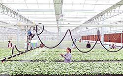 东关蔬菜育苗中心-248.jpg
